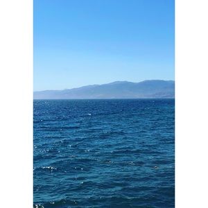 Meet your Posher, Laney